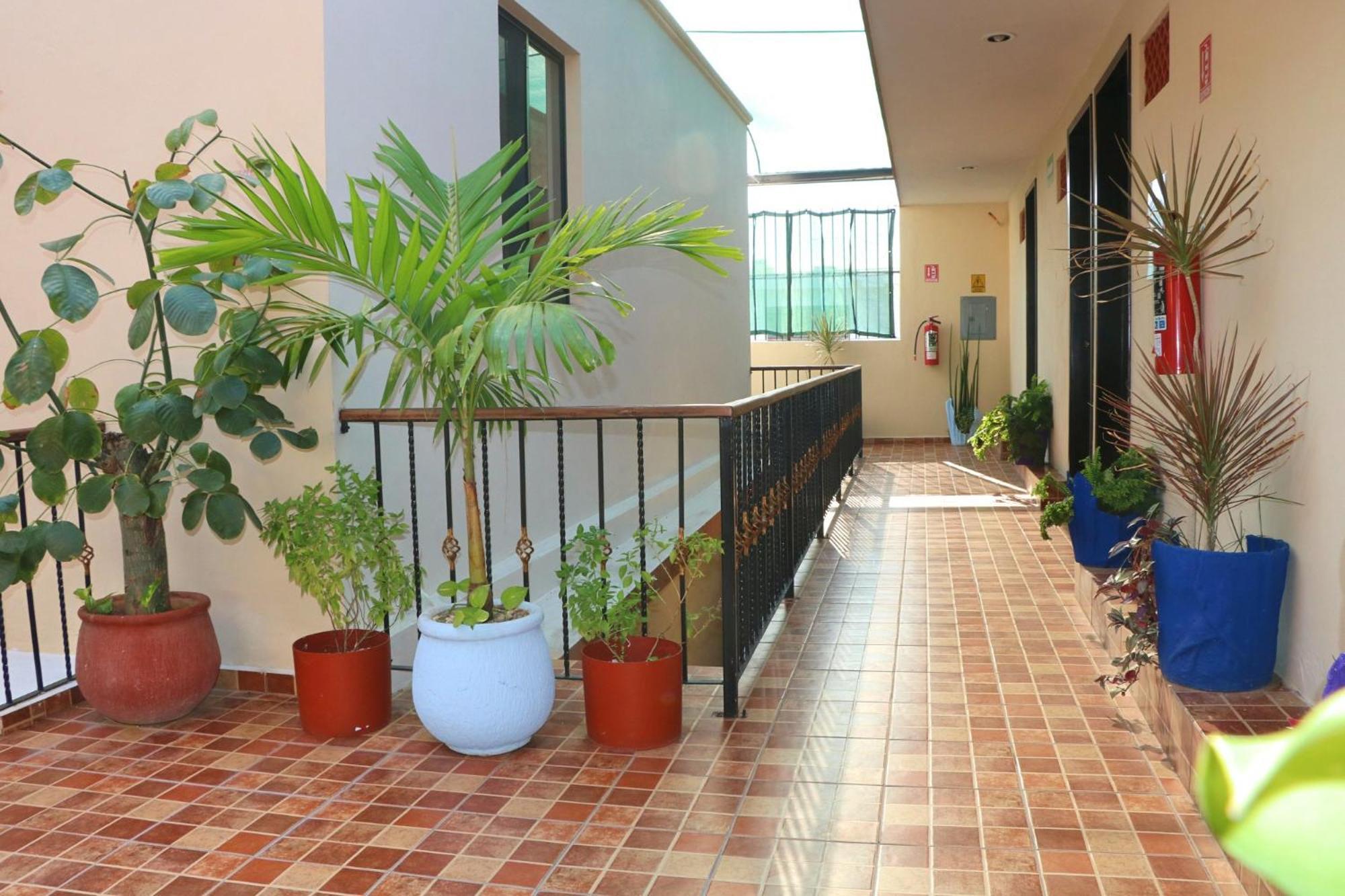 Hotel Casa Pellegrin Merida Bagian luar foto
