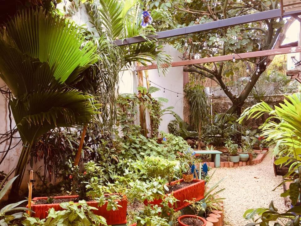 Hotel Casa Pellegrin Merida Bagian luar foto