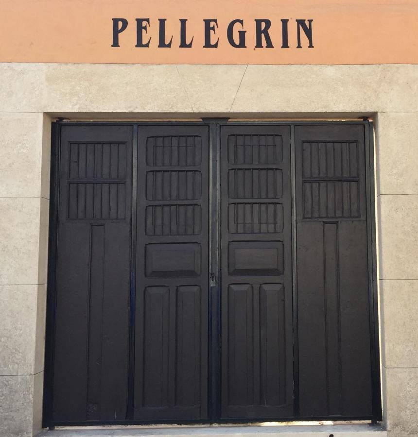 Hotel Casa Pellegrin Merida Bagian luar foto